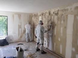 Best Emergency Mold Remediation  in Oak Grove Heights, AR